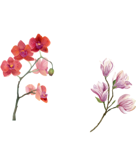 Web Invitation By Idzi