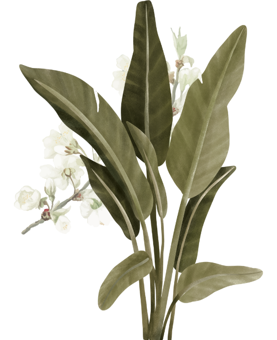 Web Invitation By Idzi