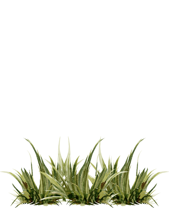 Web Invitation By Idzi